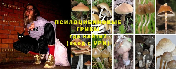 MESCALINE Армянск